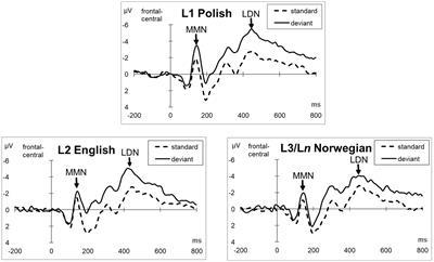 Vowel perception in multilingual speakers: ERP evidence from Polish, English and Norwegian